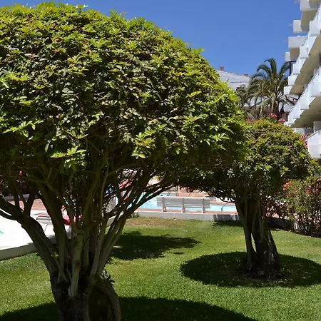 Apartment Don Quijote *